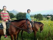 WEST ROAD RANCH 西登山道体験乗馬牧場の写真2