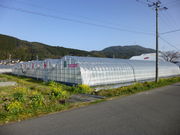 太陽社 観光いちご園の写真3