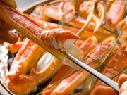 夢、美しく舞い踊る静花扇の写真2