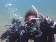 ハーモニーダイビングショップの写真2