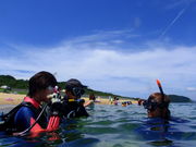 ハーモニーダイビングショップの写真3