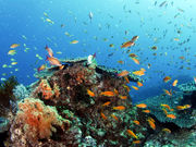 AQUASの写真2