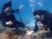 AQUASの写真4