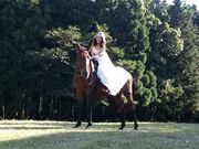 WEST ROAD RANCHの写真2