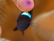 竜串ダイビングセンターの写真4