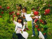 大森果樹園の写真4