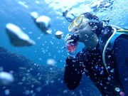 青の洞窟 Dive きよらの写真2