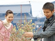 西条ブルーベリー農園の写真3