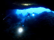 M-Baseダイビングサービスの写真2