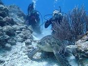 アクアデートの写真2