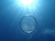 アクアデートの写真4