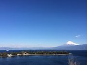 大瀬崎ダイバーズインフジミの写真2