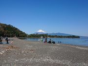 はごろもマリンサービス大瀬崎の写真3