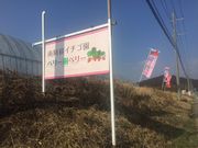 南阿蘇イチゴ園 ベリー樹ベリーの写真3