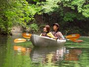 Go Natureの写真4