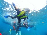 DIVINGSCHOOL&PROSHOP GREETDIVERS グリートダイバーズの写真2