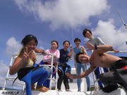 Peace Dolphin(ピースドルフィン)の写真2