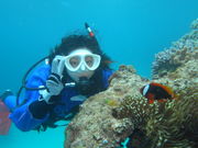 Peace Dolphin(ピースドルフィン)の写真4