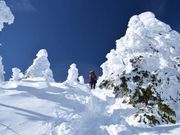 YATSUトレッククラブの写真4