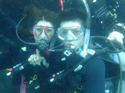 スキューバダイビングスクール フィッシュアイランドクルーの写真3