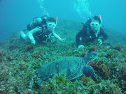 スキューバダイビングスクール フィッシュアイランドクルーの写真4