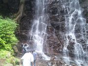 ふじざくら企画の写真3