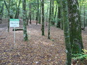 ふじざくら企画の写真2