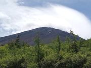 ふじざくら企画の写真4