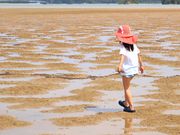 屋我地エコツーネットの写真3