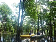 西表島カヌーツアー風車の写真4