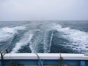 爪木丸の写真4