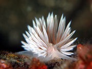 ダイビングスクールオーシャンの写真3