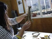 村木陶芸スタジオの写真3