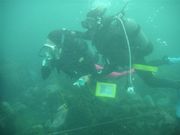 伊豆大島ダイビングセンターカラーズの写真4