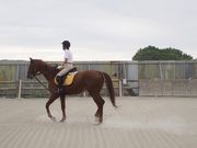 フジライディングパークの写真2