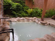 なごみ湯 白樺の写真2