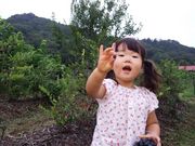 長瀞ファームの写真2