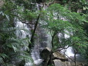 西表島アレンジツアー漕屋KAGUYAの写真3