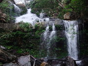 西表島アレンジツアー漕屋KAGUYAの写真4