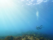 DIVE&HOUSE FUTOの写真3