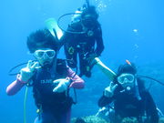 オリーブダイビングクラブの写真3