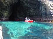 伊豆自然学校の写真4