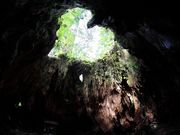 屋久島ガイドクラブの写真3