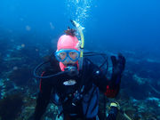 アクオス-イズの写真2