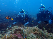 アクオス-イズの写真3