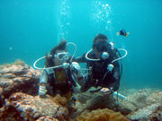 バウラインスクーバの写真2