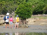 セブンシーズ宮古島の写真3