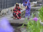 染と呉服 大洞の写真2
