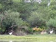 釧路湿原カヌーツアーズの写真4
