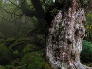 ネイチャーガイドオフィスまなつの写真2